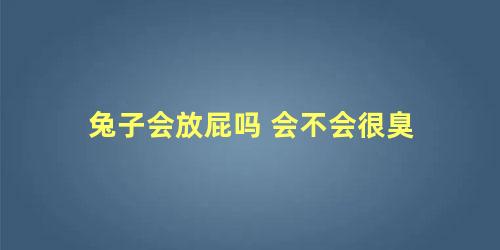 兔子会放屁吗 会不会很臭